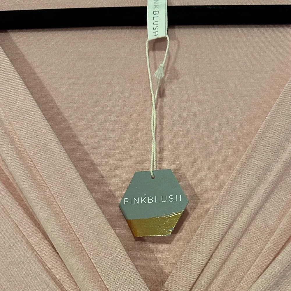 NWT. PinkBlush. Pink Maxi dress. 1x. - Picture 2 of 5